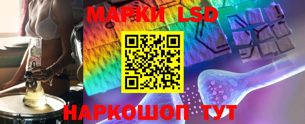 Псилоцибиновые грибы Менделеевск