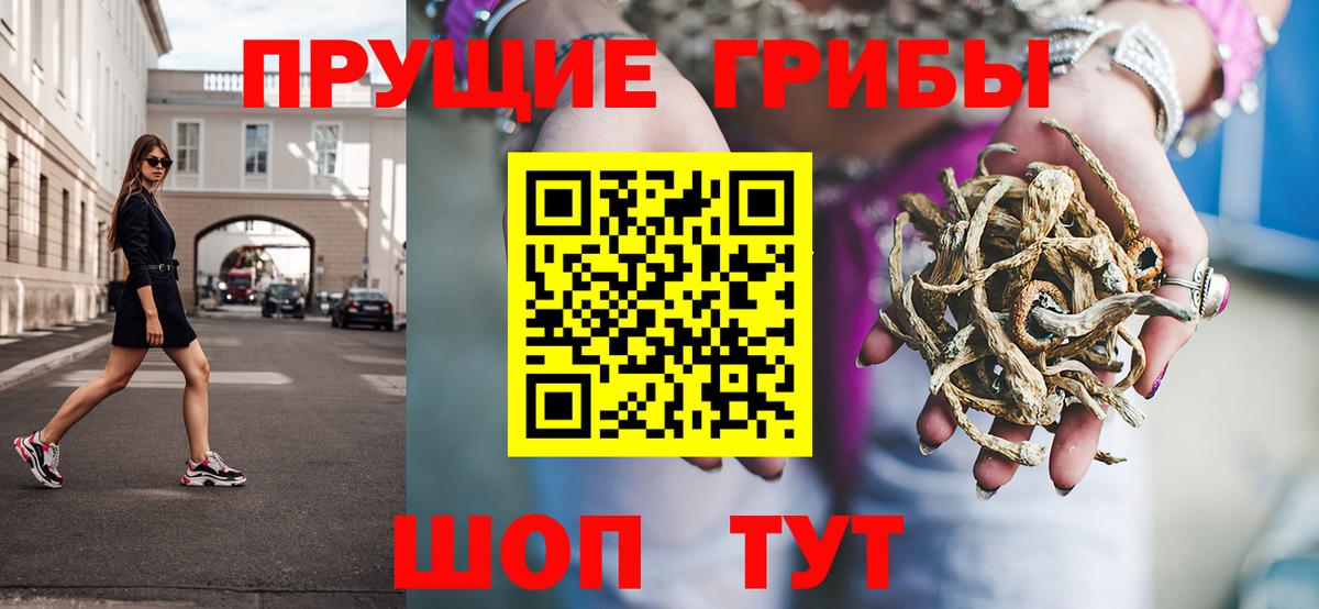 Псилоцибиновые грибы прущие грибы  Вход с VPN  закладка  Галлюциногенные грибы прущие грибы  Менделеевск 